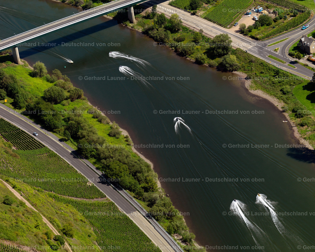 3197344 | Motorbootrennen auf der Mosel bei Bruttig