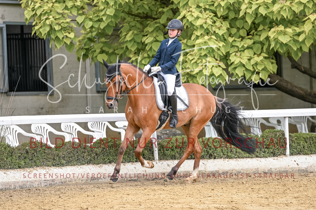 Schugtsche-Aluta25-43.EDressur -212 | Schugtsche Fotografie - Realisiert mit Pictrs.com