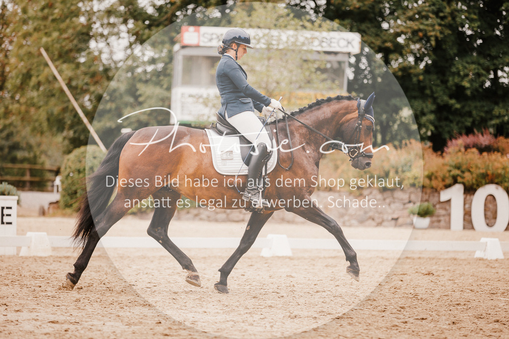 3I6A5949 | Stimmungsvolle Portraits und Reitsportfotografie im Ruhrgebiet und im Münsterland.

Pferdefotografie, Hundefotografie, Tierfotografie, Reportagen, Portraits von Tier und Mensch, Turnierfotografie in Bochum, Recklinghausen, Marl, Haltern am See, Dülmen.. - Realisiert mit Pictrs.com