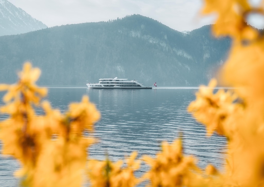 Vierwaldstättersee | Frühling - Realisiert mit Pictrs.com