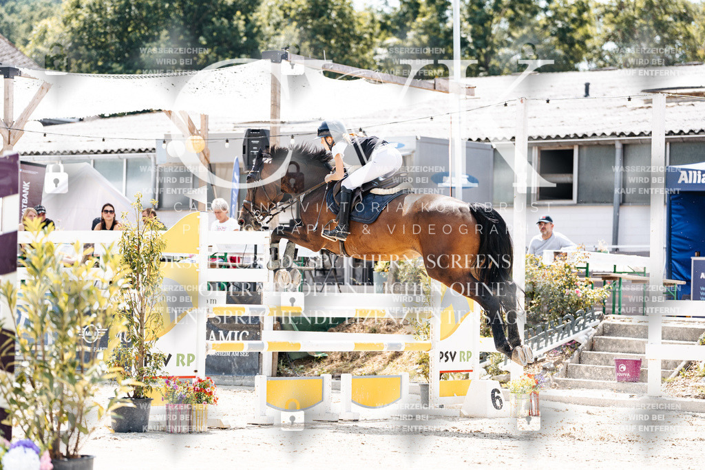 CK907485 | Turnierfotografie Pferdefotografie Trier Rheinland-Pfalz Pferdesport Reitsport Tierfotografie Sportfotografie Pferdevideo Pferdevideografie Equestrianvideography equestrianphotography  - Realisiert mit Pictrs.com