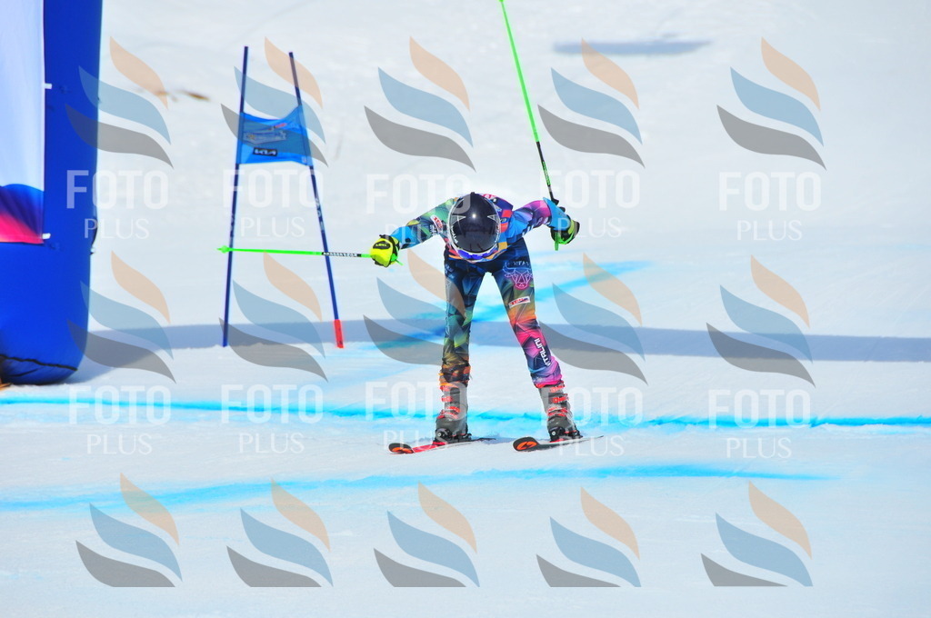 DSC_5571 | holidayphoto