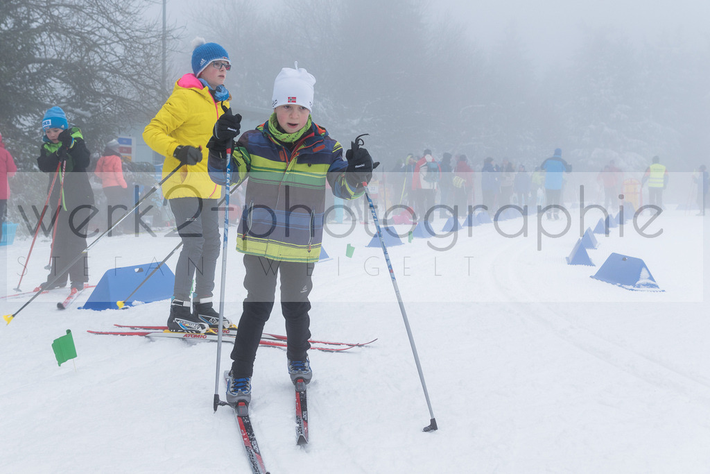 Otto-Wahl-Lauf Oberhof | Otto-Wahl-Lauf in Oberhof am 29. Februar 2020