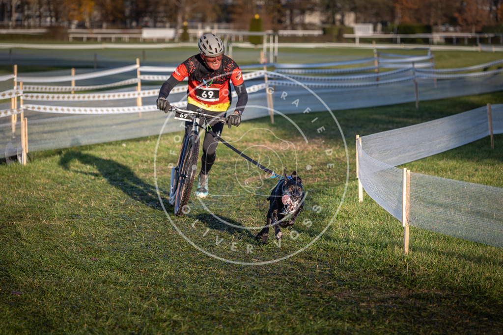 CaniXpix_0L8A3318 | Hundefotografie, Tierfotograf, Pfotenfotografie, Fotoshooting Hund, Hunde Portrait, Hundesport, Hundeportraits, Heideshooting, Hunde, Sportfotograf, Hundefotograf, Turnierhundsport, THS,  - Realisiert mit Pictrs.com