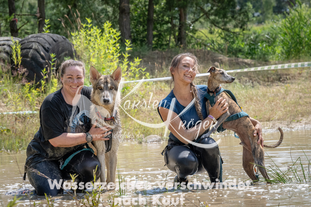 1416_ZZ94147 | kk-dogfotos