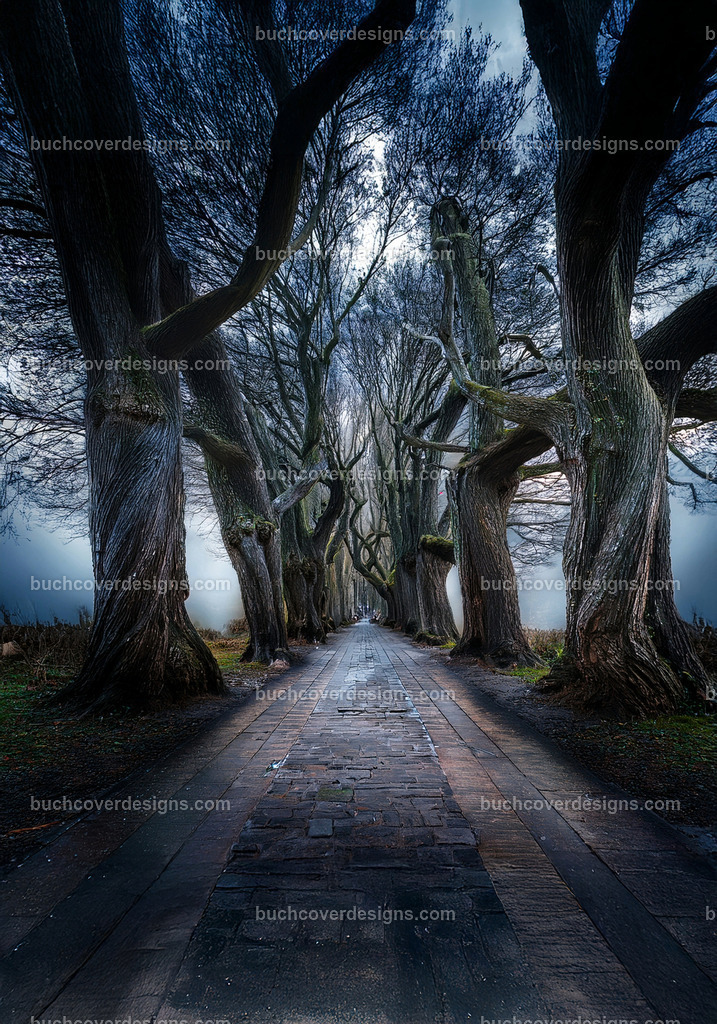 Baumen weg Corridor | Entdecken Sie kreative Buch Cover Designs für Self-Publishing-Autoren und Verlage! Unsere maßgeschneiderten Designs ziehen Leser an und bringen Ihre Geschichten visuell zum Leben. Lassen Sie uns Ihr perfektes Cover gestalten!