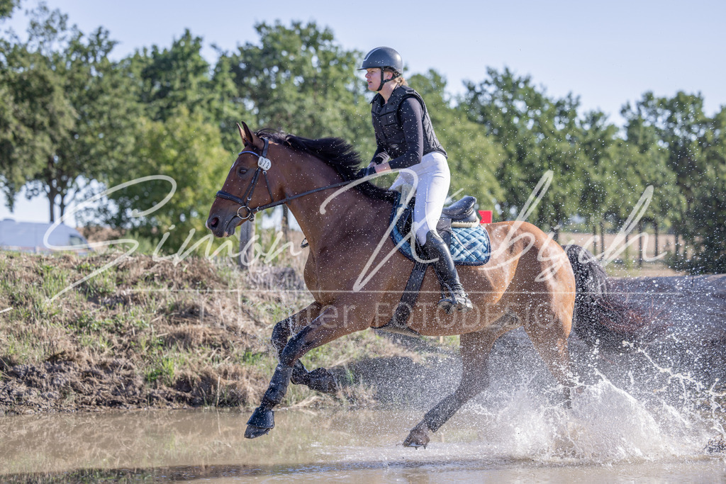 20260906-_3LI1968 | Tierfotografie Pferde, Hunde, Katzen, Haustiere.
Turnierfotografie Reitturniere, Reiten, Springreiten, Dressur in Hanau, dem Main-Kinzig-Kreis und dem Rhein-Main- Gebiet um Frankfurt