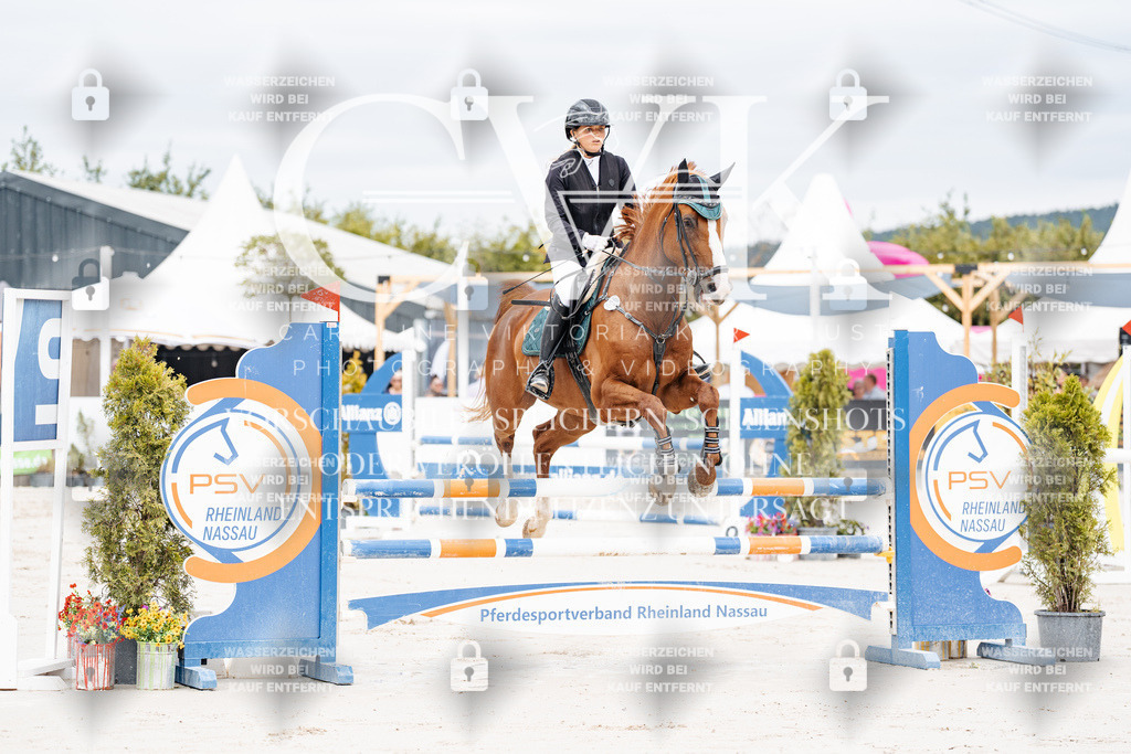 CK906137 | Turnierfotografie Pferdefotografie Trier Rheinland-Pfalz Pferdesport Reitsport Tierfotografie Sportfotografie Pferdevideo Pferdevideografie Equestrianvideography equestrianphotography  - Realisiert mit Pictrs.com