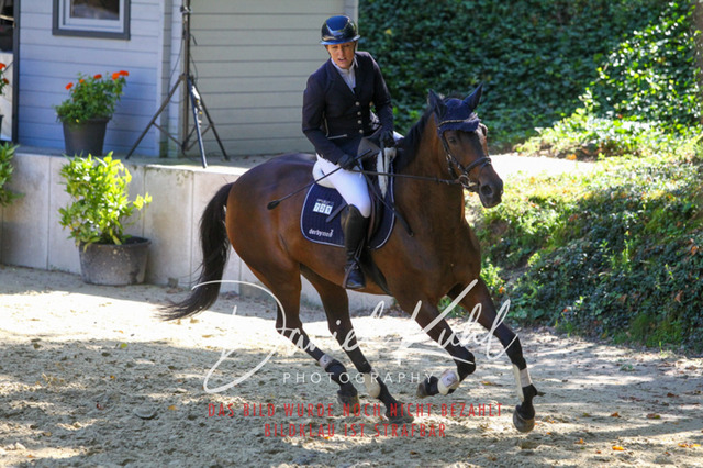 DKP43063 | Turniersportfotografie; Pferdefotografie; Dressurfotografie