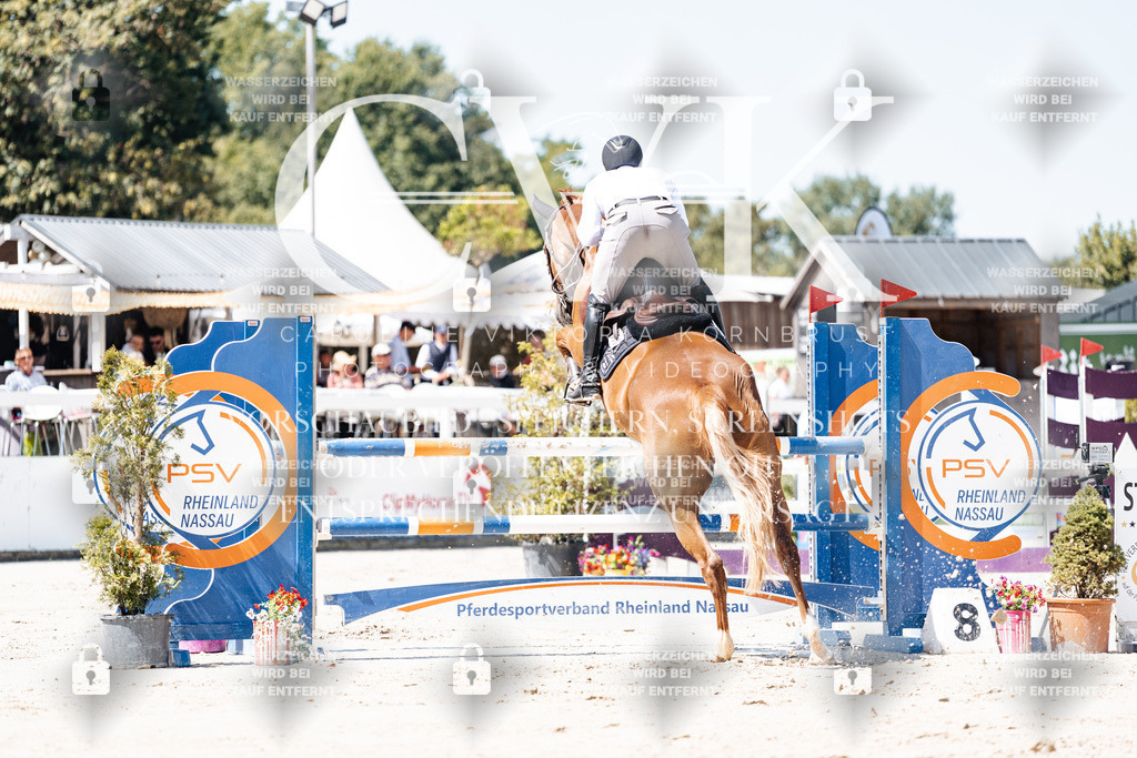 CK909524 | Turnierfotografie Pferdefotografie Trier Rheinland-Pfalz Pferdesport Reitsport Tierfotografie Sportfotografie Pferdevideo Pferdevideografie Equestrianvideography equestrianphotography  - Realisiert mit Pictrs.com