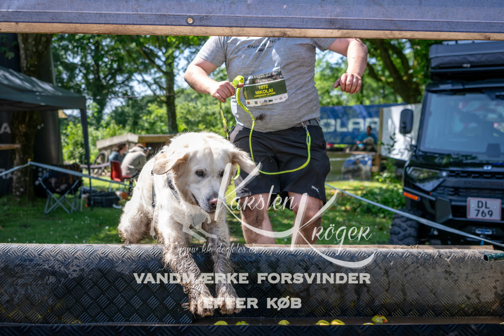 1242_ZZ91744 | kk-dogfotos