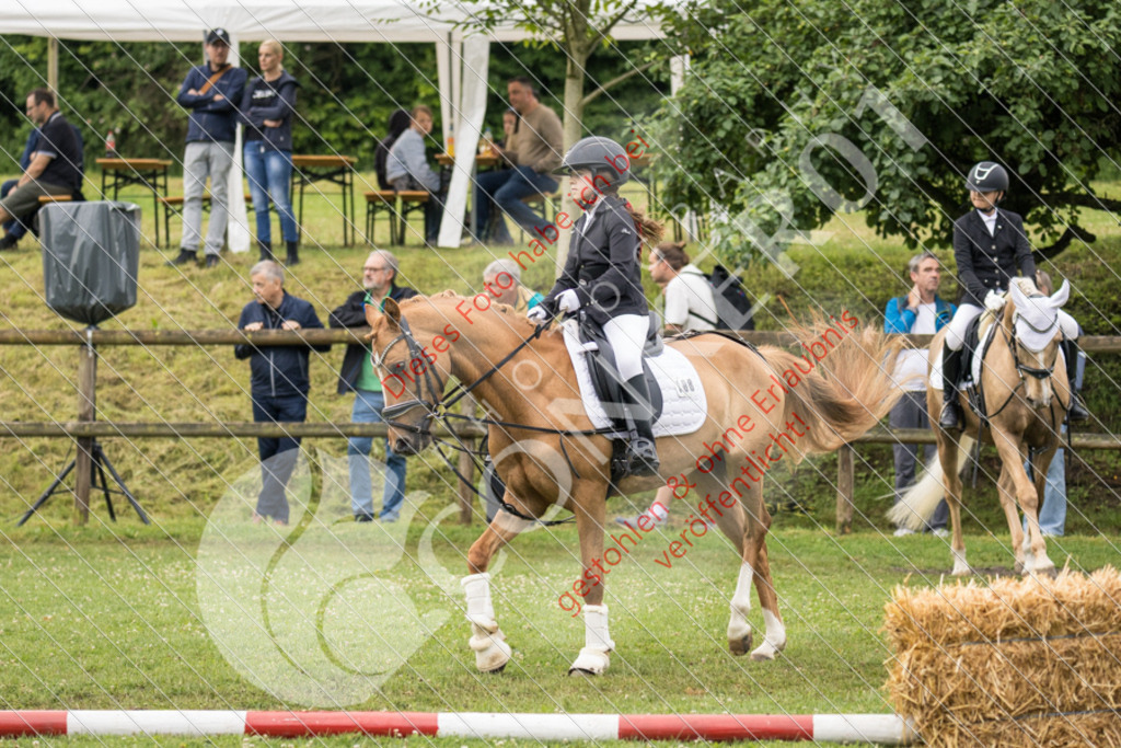 IMG_1794 | Sport-, Event- und Tierfotos in Profiqualität. Einfach auswählen, bestellen und herunterladen. Dein Moment – perfekt festgehalten.