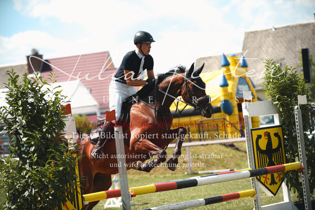 DSC_6626 | Pferde- und Turnierfotografie in Westsachsen. Pferdeportraits, Auftragszeichnungen und intuitive Kunst.