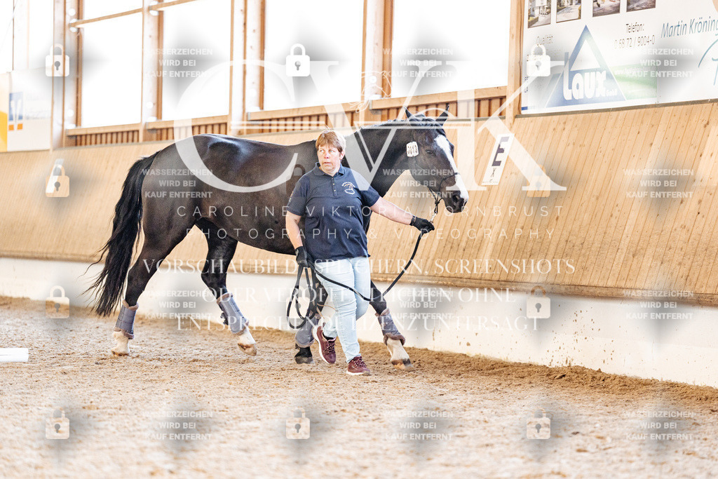 CK906242 | Turnierfotografie Pferdefotografie Trier Rheinland-Pfalz Pferdesport Reitsport Tierfotografie Sportfotografie Pferdevideo Pferdevideografie Equestrianvideography equestrianphotography  - Realisiert mit Pictrs.com