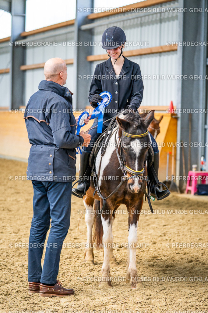 DSC03848 | Pferdegrafie