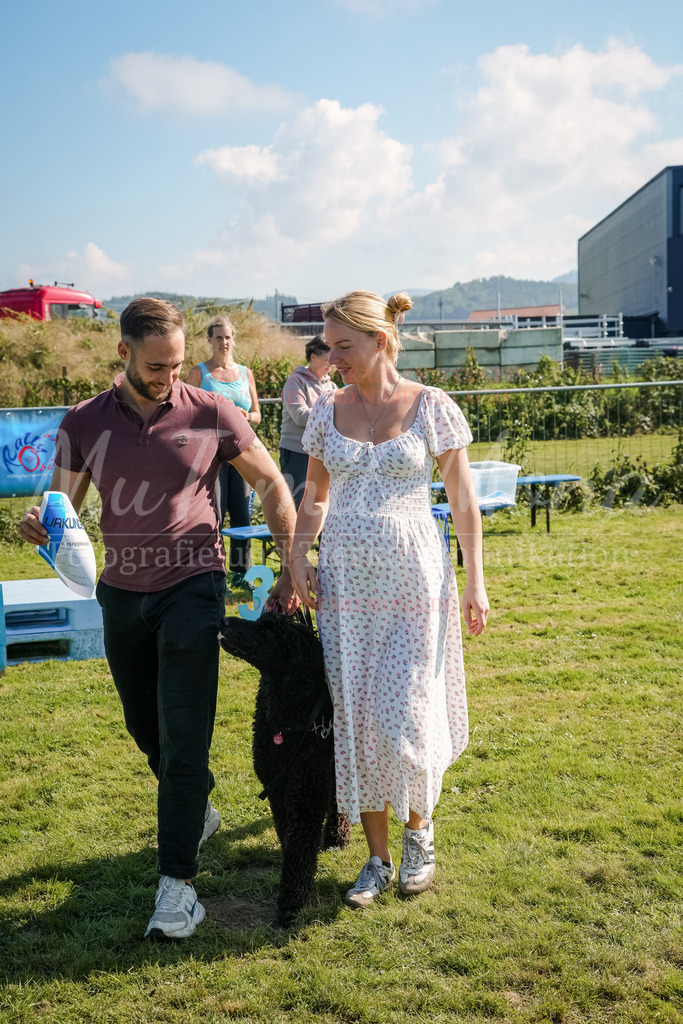 20250928_Hunderennen-763 | MuT (Mensch und Tier) mit Mona - Fotografie und Tierkommunikation - Realisiert mit Pictrs.com