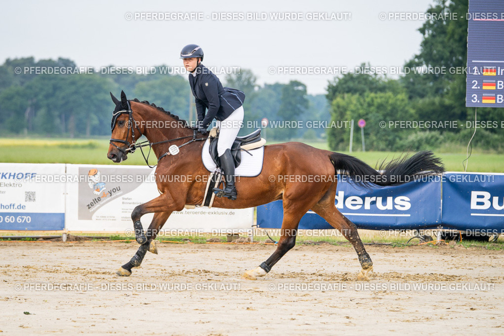 DSC08543 | Pferdegrafie