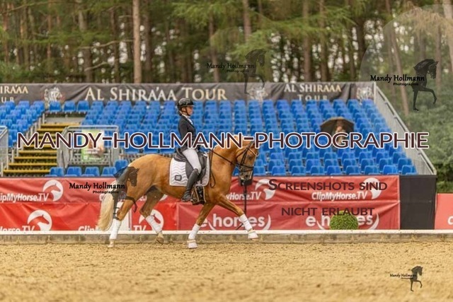 28-8-26 5j DRE-1553 | mandyhollmannphotographie