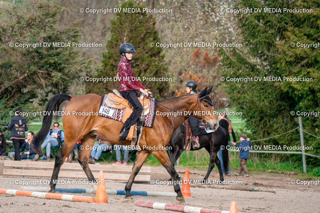 BAL02883 | dv-media-shop - Realisiert mit Pictrs.com