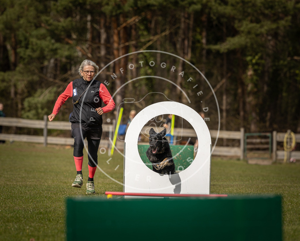 Pfotenfotografie_DV3A0127 | Hundefotografie, Tierfotograf, Pfotenfotografie, Fotoshooting Hund, Hunde Portrait, Hundesport, Hundeportraits, Heideshooting, Hunde, Sportfotograf, Hundefotograf, Turnierhundsport, THS,  - Realisiert mit Pictrs.com