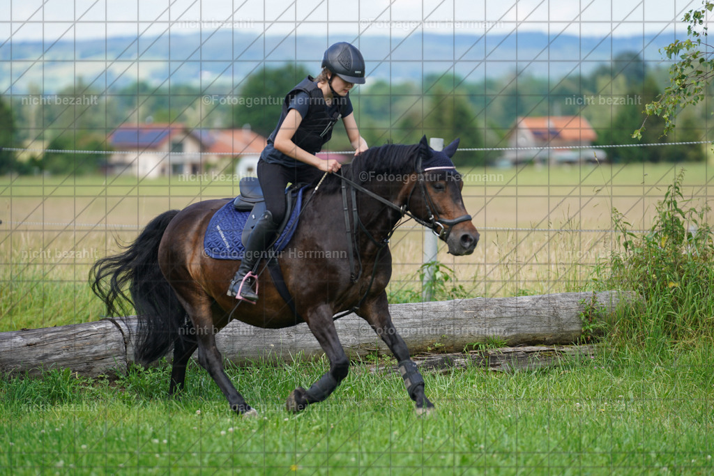 20240622-FAH07939 | Turnierfotografen Bayern, Reitsportbilder aus dem Geländekurs mit Felix Etzel auf dem Gut Waitzacker 2024