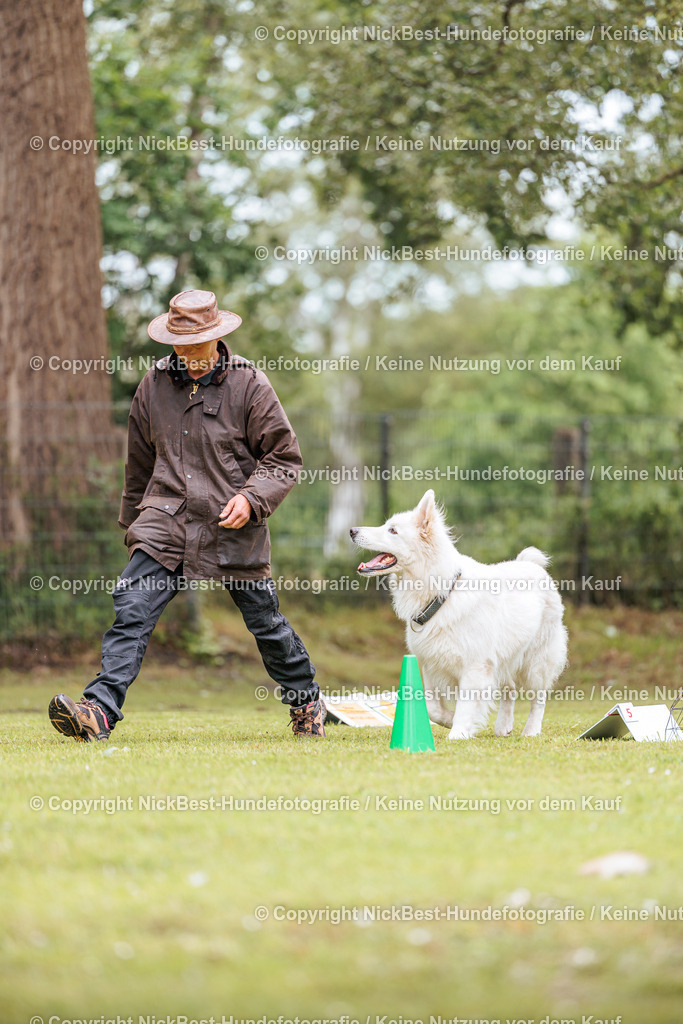 RO-Blumenthal-2026-Nickbest-Hundefotografie-2004 | Dein Hund! Dein Moment! Deine Erinnerungen! Hundefotografie in Bremen Blumenthal. Ich fange die besonderen Momente deines Vierbeiners ein – ob Indoor mit Blitzanlage oder in der freien Natur. Sicher dir dein Moment und dein Termin für eure Erinnerungen.