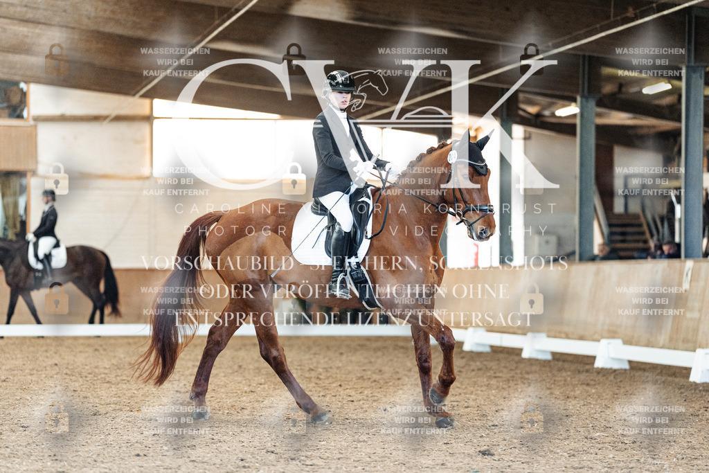 CK908731 | Turnierfotografie Pferdefotografie Trier Rheinland-Pfalz Pferdesport Reitsport Tierfotografie Sportfotografie Pferdevideo Pferdevideografie Equestrianvideography equestrianphotography  - Realisiert mit Pictrs.com
