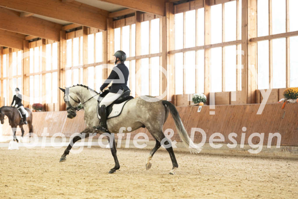 IMG_2404 | Creatify Fotografie