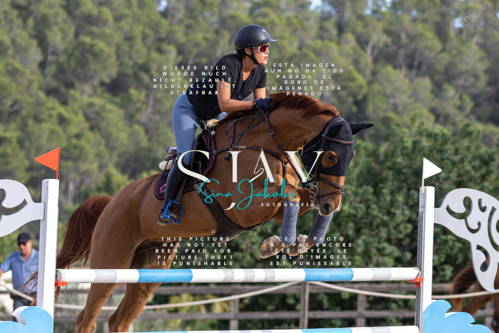 IMG_4477 | s-jay-photography - Realisiert mit Pictrs.com