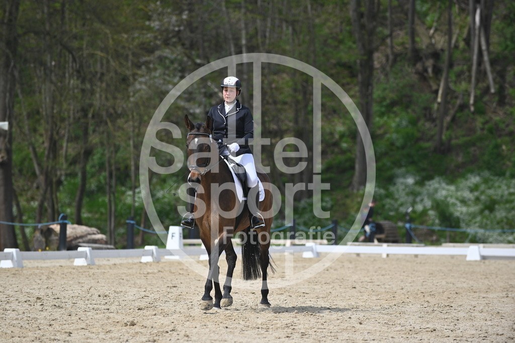 DSC_3251 | sattelsport - Realisiert mit Pictrs.com