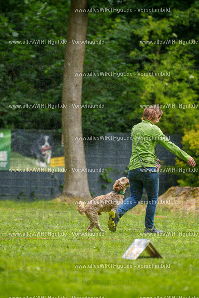@allesWIRTHgut_Tierfotografie - www.allesWIRTHgut.de - 092441-7R507083 | Professionelle Tierfotografie in Mönchengladbach von Daniel Wirth (allesWIRTHgut). Liebevolle & natürliche Bilder von Hunden & Katzen für unvergessliche Erinnerungen.