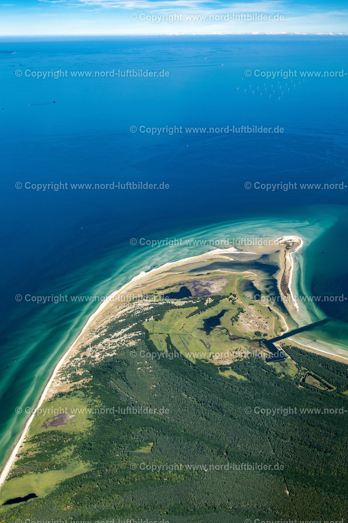 Darss_Naturschutzgebiet_ELS_8449100822 | BORN AM DARß 10.08.2022 Sandbank- Landfläche durch Strömungen unter der Meeres- Wasseroberfläche der Ostsee am Naturschutzgebiet Darsser Ort in Born am Darß an der Ostseeküste im Bundesland Mecklenburg-Vorpommern, Deutschland. Weiterführende Informationen bei: NABU - Naturschutzbund Deutschland e.V.. // Sandbank- land area by flow under the sea water surface the Baltic Sea at the Darsser Ort nature reserve in Born am Darss at the baltic sea coast in the state Mecklenburg - Western Pomerania, Germany. Further information at: NABU - Naturschutzbund Deutschland e.V.. Foto: Martin Elsen