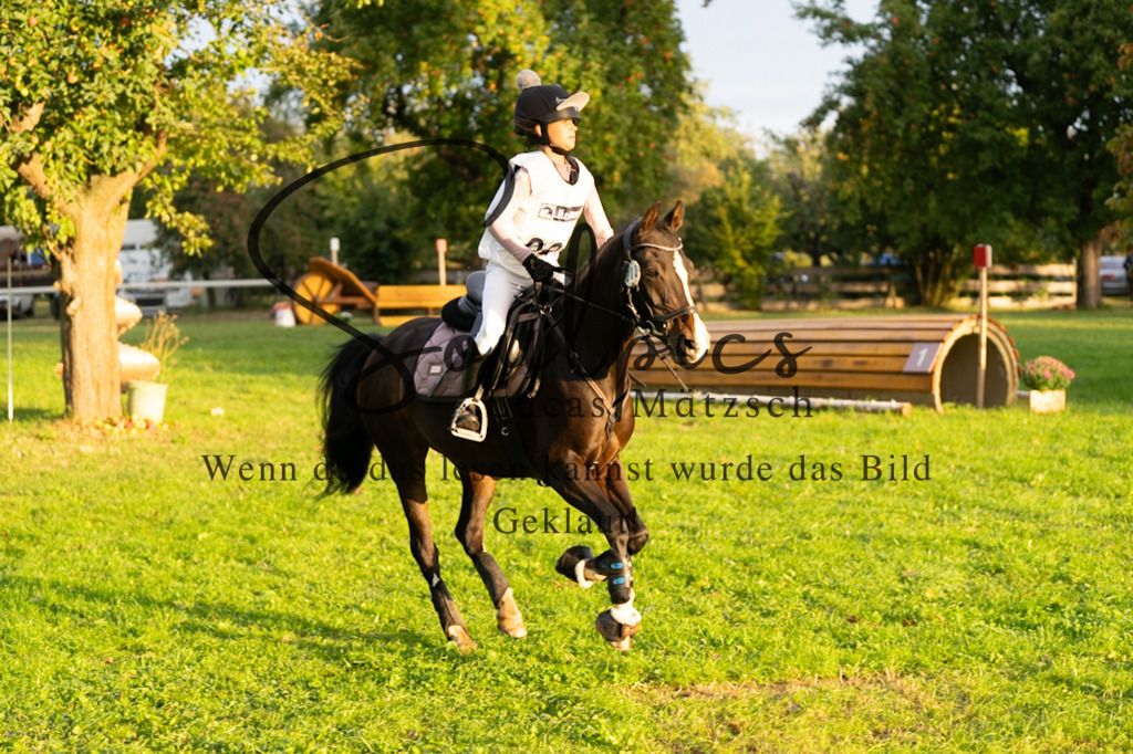 A7V02829 | Turnier/Reitfotograf