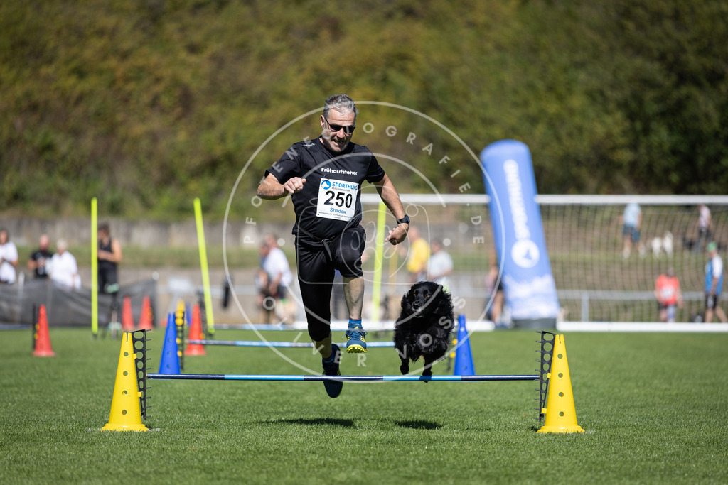 Pfotenfotografie_DV3A6204 | Hundefotografie, Tierfotograf, Pfotenfotografie, Fotoshooting Hund, Hunde Portrait, Hundesport, Hundeportraits, Heideshooting, Hunde, Sportfotograf, Hundefotograf, Turnierhundsport, THS,  - Realisiert mit Pictrs.com