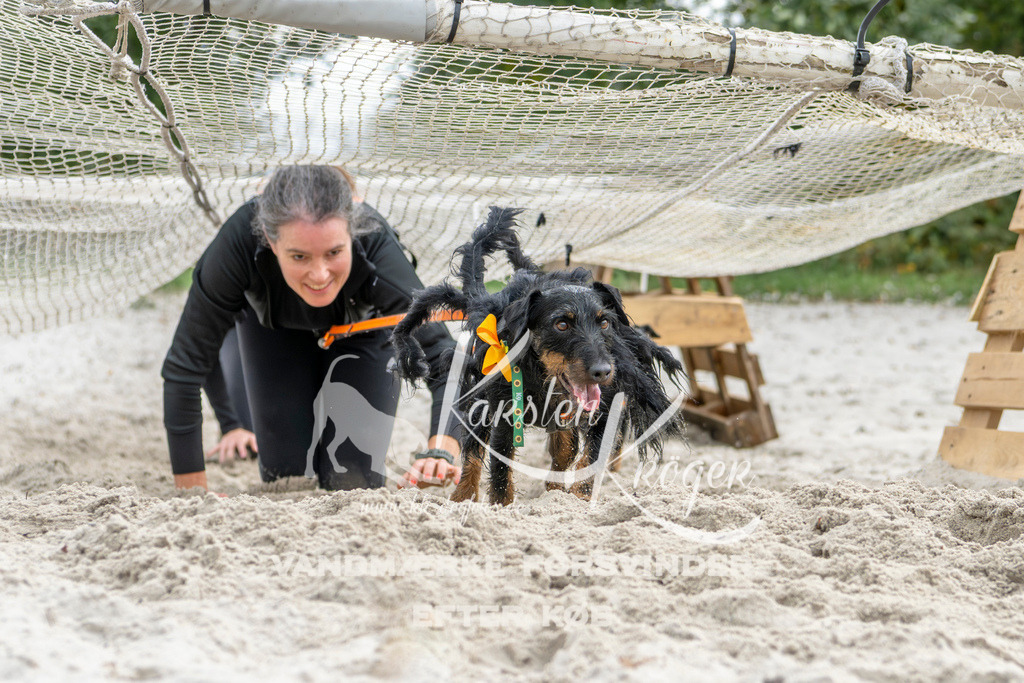 1524_ZZ94980 | kk-dogfotos