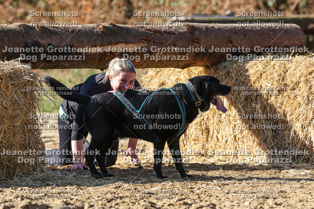 Dog Paparazzi - Strongdog 10-25-4648 | Dog Paparazzi Jeanette Grottendiek Fotografie & Videografie - Realisiert mit Pictrs.com