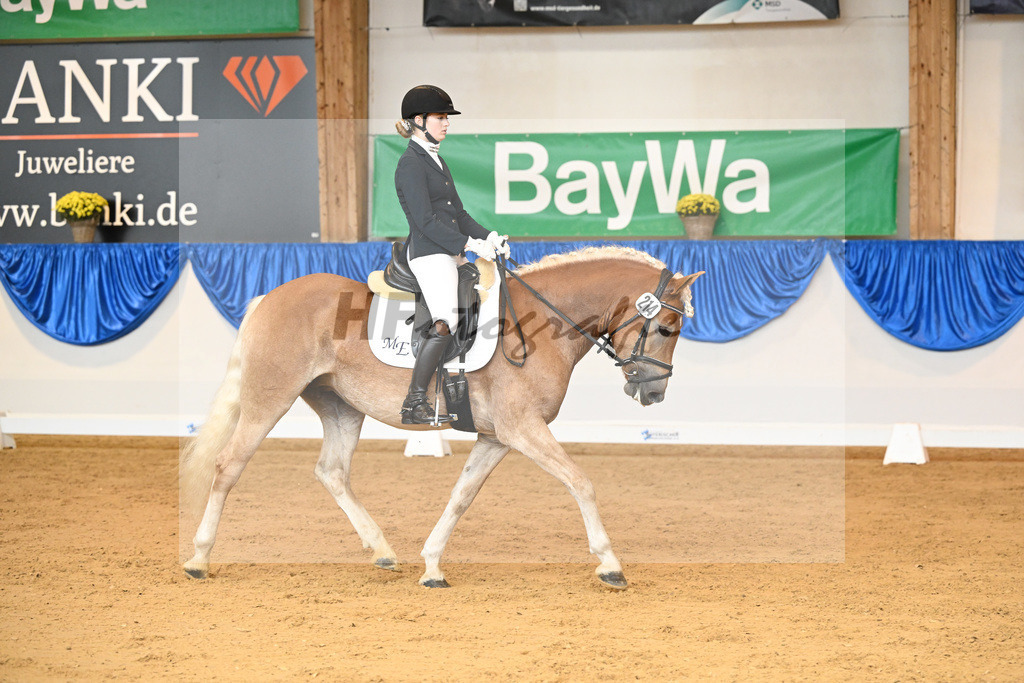 Kat-Nr. 214 Stacy D_Duening_54221918 | hf-fotografie - Realisiert mit Pictrs.com