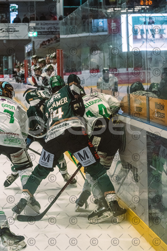 Erding_vs_Alligators_02_01_2026-60 | Höchstadt Alligators Fotogalerie: Eishockey-Action aus Franken. Professionelle Spielfotos, Portraits & Stadionbilder zum Download. Jetzt entdecken! - Realisiert mit Pictrs.com