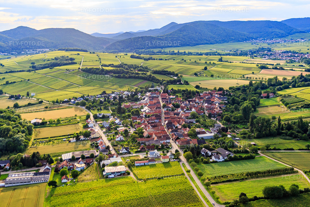 Luftbild: Ortsansicht von Osten im Ortsteil Heuchelheim in Heuchelheim-Klingen im Bundesland Rheinland-Pfalz in Deutschland. Foto: IMG_090206.jpg vom 26.06.2016 durch Werner Riehm/FLY-FOTO.de