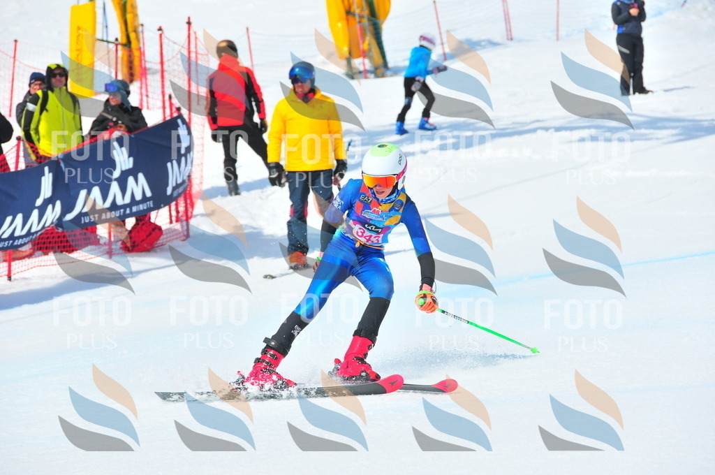 DSC_6914 | holidayphoto