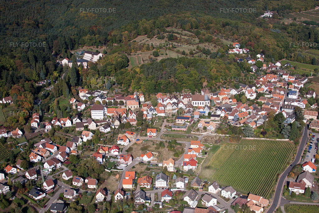 Luftbild: landwirtschaftlichen Feldern und Nutzflächen in Gleisweiler im Bundesland Rheinland-Pfalz in Deutschland. Foto: IMG_22267.jpg vom 15.10.2009 durch Werner Riehm/FLY-FOTO.de