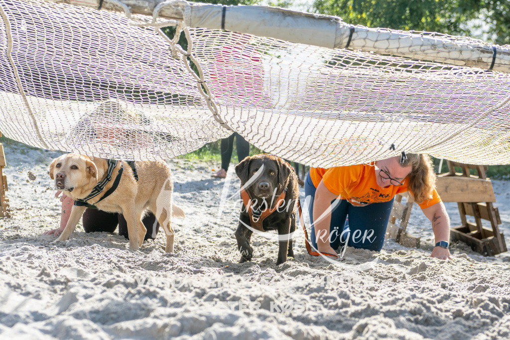 1252_ZZ94037 | kk-dogfotos