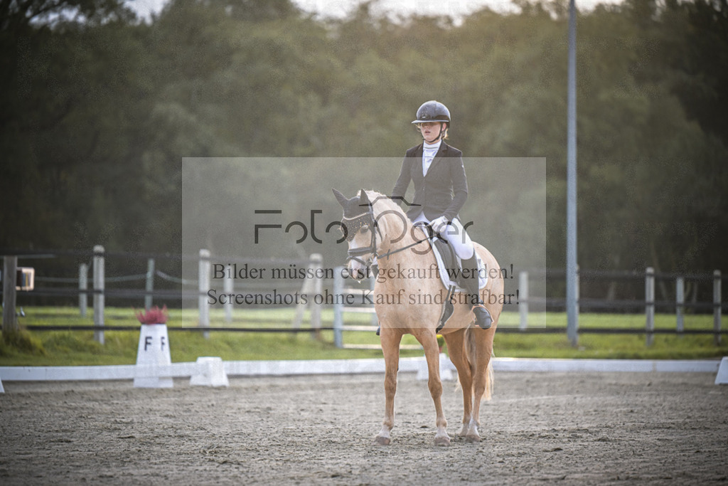 DOS_0833 | Entdecke hochwertige Reitturnierfotos von Foto Oger. Professionell, emotional und authentisch – jetzt Lieblingsmomente im Shop bestellen.Deutschlandweite Turnierfotografie. - Realisiert mit Pictrs.com