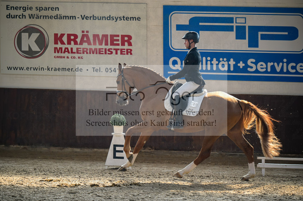 Reitturnier Voxtrup | Entdecke hochwertige Reitturnierfotos von Foto Oger. Professionell, emotional und authentisch – jetzt Lieblingsmomente im Shop bestellen.Deutschlandweite Turnierfotografie. - Realized with Pictrs.com