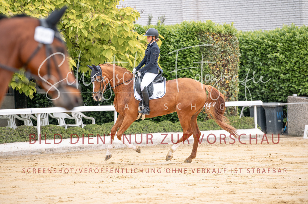 Schugtsche-Aluta25-41.Amat-Dressurprf.A_-25 | Schugtsche Fotografie - Realisiert mit Pictrs.com