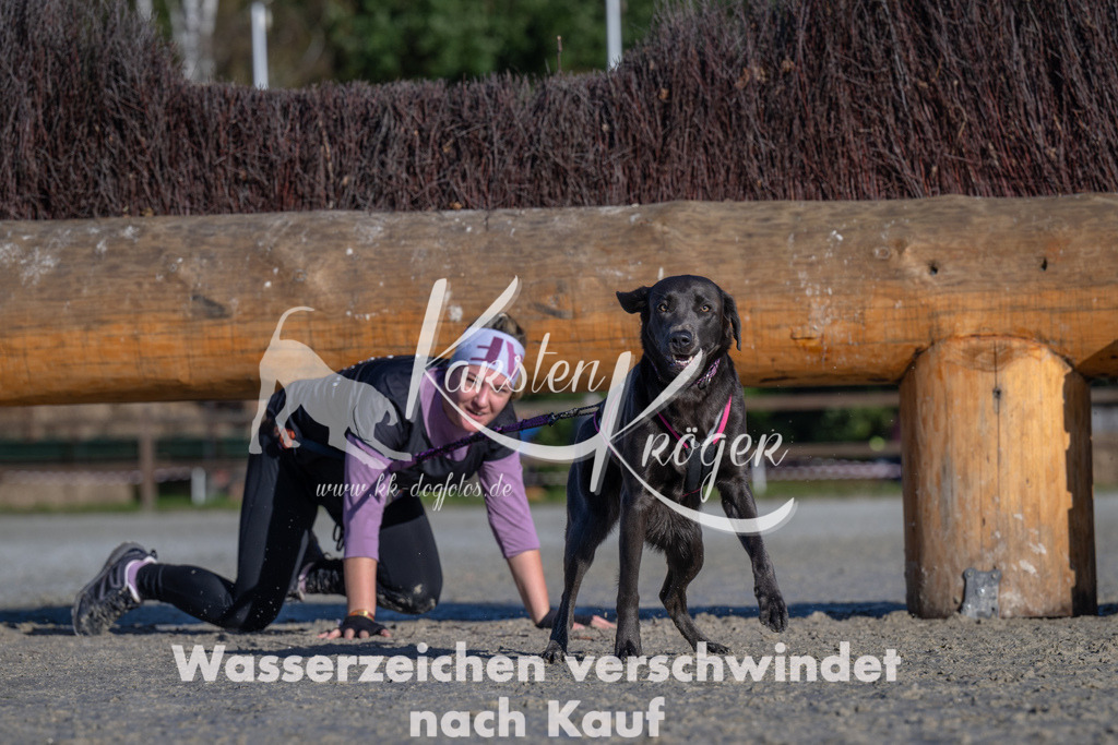 1047-_ZZ92605 | kk-dogfotos