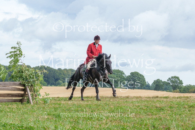 Jagd Knoop 26_MarinaHewigMCH02622 | Fotografie, FotoArt, PferdesportArt, Pferdesportfotografie, Landschaftsfotografie, Reisefotografie, Reise, Pferde - Realisiert mit Pictrs.com