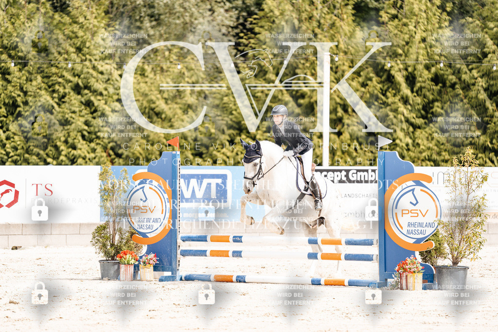 CK906436 | Turnierfotografie Pferdefotografie Trier Rheinland-Pfalz Pferdesport Reitsport Tierfotografie Sportfotografie Pferdevideo Pferdevideografie Equestrianvideography equestrianphotography  - Realisiert mit Pictrs.com