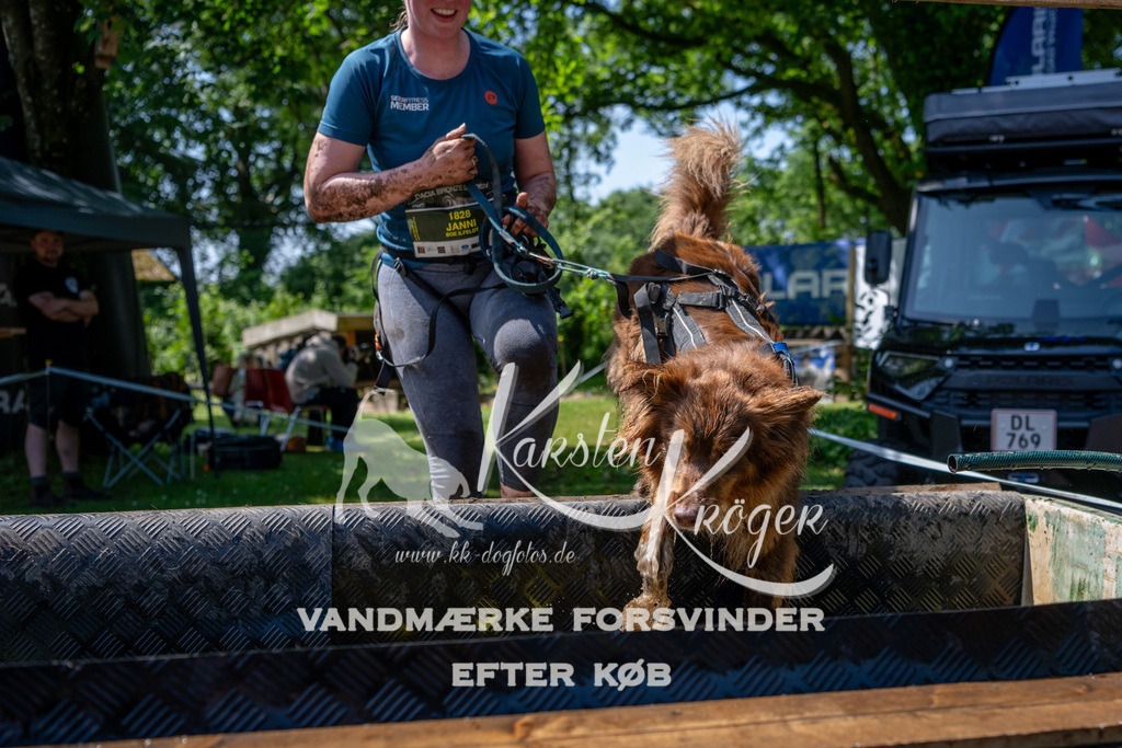 1222_ZZ90861 | kk-dogfotos