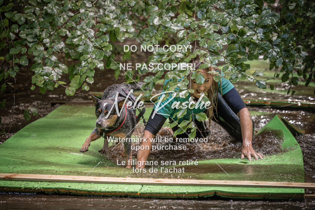 nelerasche_Wingst_Sa1330-1400_255 | nelerasche
